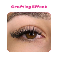 Super Matte Black 12D Abanicos de pestañas sueltas Hechos a mano 500 Fans Pro Curl Promade Lashes