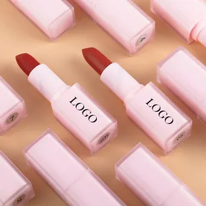 Light Color Matte Easy To Wear All Lips Tints Waterproof Moisturizing Private Label Solid Lipstick Custom Bulk Makeup Beautiful