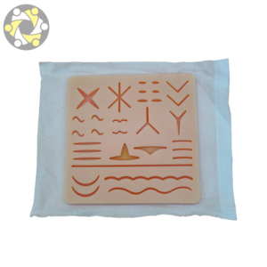 Modello Anatomico <span class=keywords><strong>di</strong></span> Pelle con Suture Chirurgiche <span class=keywords><strong>di</strong></span> Grandi Dimensioni per l'<span class=keywords><strong>Educazione</strong></span> <span class=keywords><strong>e</strong></span> la <span class=keywords><strong>Formazione</strong></span> in <span class=keywords><strong>Scienze</strong></span> Mediche - Product Image 2