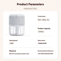 Mini Hachoir Électrique pour Légumes, Presse-Ail et Broyeur Rechargeable USB, Hachoir à Viande et Gingembre, Robot Culinaire, Gadget de Cuisine