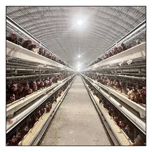 Nuovo prodotto automatico pollaio design per 20000 pollo pollame allevamento automatico strati di casa di pollo