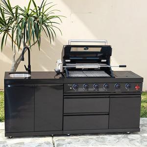 Barbacoa de Gas Moderna de Acero Inoxidable 304 y Titanio para Exteriores, para Hogar y Fiestas, Barbacoas Interiores y Exteriores DY-411A-B5 - Product Image 4