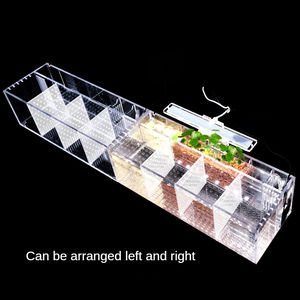 Boîte d'isolation acrylique sans eau pour poissons, boîte d'élevage de méduse, poissons, betta - Product Image 3