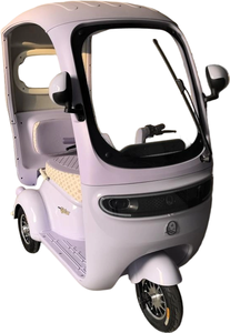 รถสามล้อแบบเปิดหลังคา 2 ที่นั่ง ทนทานต่อสภาพอากาศ ได้รับการรับรองมาตรฐาน DOT: ยานพาหนะเชื่อถือได้สำหรับรีสอร์ทริมทะเลและหน่วยลาดตระเวนชายหาด - Product Image 3