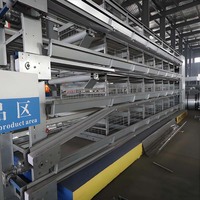 Dernier modèle de cage pour volailles : cage automatique pour poulets de chair et poules pondeuses