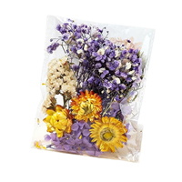 Boîte de matériaux pour fleurs éternelles DIY, décorations artisanales, couleurs mélangées aléatoires, plantes séchées et fleurs séchées