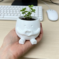 Pot de fleurs en PLA imprimé en 3D en forme de cœur, transfrontalier, mignon, pour plantes succulentes, décoration de bureau moderne et artistique