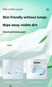 Papel Higiénico Húmedo Ecológico Personalizado para el Hogar, Materiales Lavables, Aumento de Inventario al por Mayor - Product Image 6