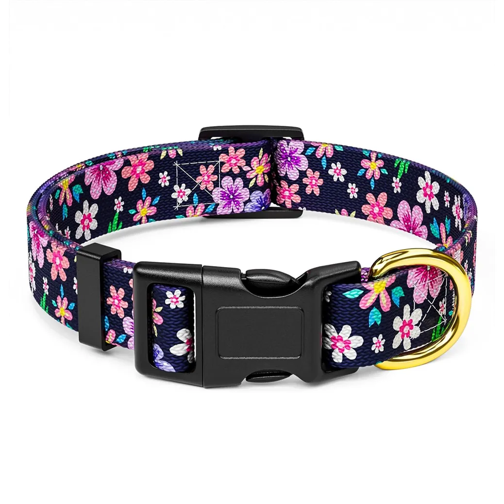 Custom Pattern Logo Protective Adjustable Quick Release Buckle Recycled Eco-friendly Durable Outdoor Nylon Pet Dog Collars