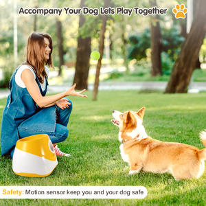 Dropshipping, máquina lanzadora de bolas para perros, juguete para entrenamiento de mascotas, lanzador automático de bolas para perros, dispensador para golosinas - Product Image 2