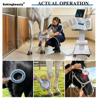 Appareil de stimulation magnétique équine directement de l'usine, réparation musculaire du corps entier, relaxation musculaire animale, thérapie PEMF pour animaux.