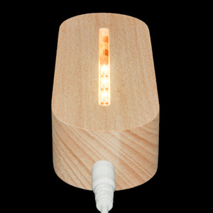 Nhà máy cung cấp 3dwooden ánh sáng ban đêm đứng với ánh sáng khác nhau gỗ LED ánh sáng cơ sở - Product Image 2