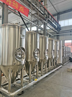 Équipement de brasserie de bière à chauffage électrique 300L Mini Pub Bar Système de brasserie de bière au bioéthanol avec ensemble complet d'accessoires