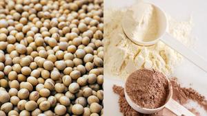 Oem תוספת אישית אבקת חלבון 80 בודדים בודדים בודדים להתרכז 100% חלבון מי גבינה סיטונאי חלבון מי גבינה - Product Image 3