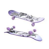 Vente flash : Skateboard 28 pouces, plateau en aluminium de 5 pouces, roues en PU, skateboard professionnel en plastique