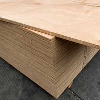 Contrachapado Fenólico de Álamo con Revestimiento de Película, Panel Reutilizable de 20x30cm y 18mm para Encofrados de Hormigón, Proveedor para la Construcción