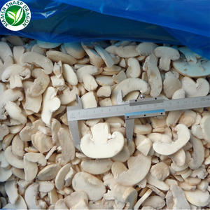 Champignon blanc entier congelé IQF biologique cultivé/Champignon inférieur - Product Image 3