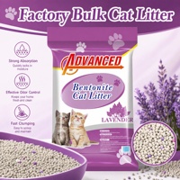Litière pour chat en bentonite sans traces, formule sans poussière, nettoyage facile, super agglomérante, sable naturel pour chat d'intérieur