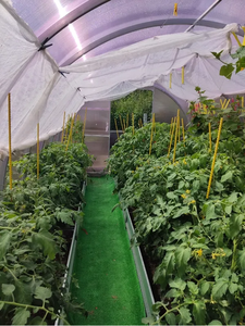 Meilleure offre 12 mm diamètre 2 m longueur piquets composites en fibre de verre pour plantes piquets composites pour jardin du fabricant - Product Image 5