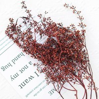 AYOYO Plantes séchées Millet Fruit Fleur Couleur naturelle pour décorations de bougies et décorations pour la maison eucalyptus fruit