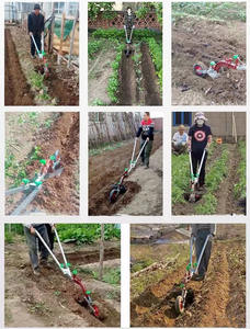 <span class=keywords><strong>พลั่ว</strong></span>พรวนดินขนาดเล็ก - Product Image 5