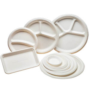 Square Disposable Plates For Wedding Reception Environmentally Friendly