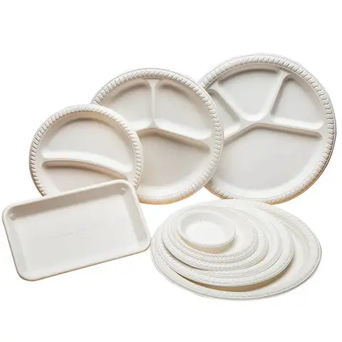 Square Disposable Plates For Wedding Reception Environmentally Friendly
