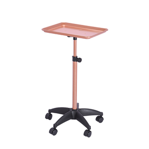 Carrito Móvil <span class=keywords><strong>de</strong></span> Aluminio Resistente para Salón y Taller con Diseño <span class=keywords><strong>de</strong></span> 5 Ruedas - Organizador Multiusos para Salones, Spas y Tiendas <span class=keywords><strong>de</strong></span> Tatuajes - Product Image 1