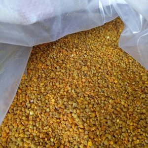 Gránulos de Polen de Abeja de Colza Seleccionados de Alta Calidad al por Mayor, Grado Alimenticio - Product Image 6