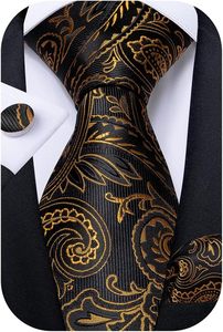 Ensemble de cravates pour hommes importées en soie unie et à motif Paisley, avec pochette de costume et boutons de manchette, cravates formelles à séchage rapide, cadeau pour mariage et fête - Product Image 2