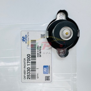 Système de refroidissement de haute qualité CAP ASSY-RADIATOR 25330-17000 2533017000 pour Hyundai ELANTRA 25330 17000 - Product Image 1