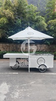 Chariot à pousser léger et durable, chariot à glaces, chariot mobile, petit kiosque à desserts mobile avec fenêtre de présentation