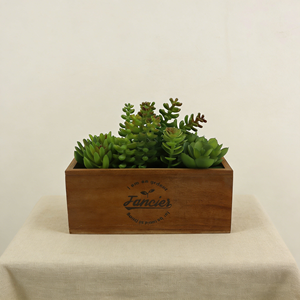 Mini Succulente Artificielle avec Texture Réaliste, Boîte en Bois, Plante Succulente Artificielle en Pot, Végétation Décorative en Pot pour la Décoration de la Chambre - Product Image 4