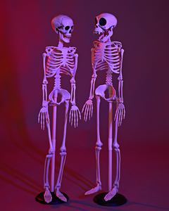 Esqueleto de Halloween de Plástico de 90 cm con Articulaciones Móviles, <span class=keywords><strong>Huesos</strong></span> Humanos, <span class=keywords><strong>Cuerpo</strong></span> Completo, para Decoración de Fiestas de Halloween - Product Image 1