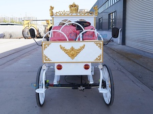 Carruaje de Boda de Lujo Eléctrico, Personalizado, de Diseño Móvil, de Metal Blanco y Hierro, Estilo Calabaza - Product Image 3