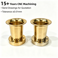 Service d'usinage CNC OEM en laiton : Accessoires en laiton tournés et fraisés pour équipements de machinerie