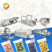 ORME Vriesvruchten- en groentewaslijn, machine voor het reinigen en snijden van fruit en groenten voor inblikken