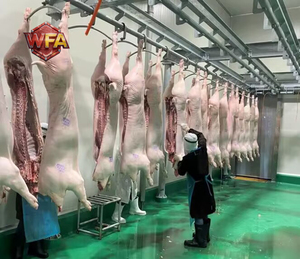 Proveedores de Equipos para Mataderos de Cerdos, Maquinaria para Plantas de Procesamiento de Carne de Cerdo, Máquina de Sacrificio de Cerdos en <span class=keywords><strong>Venta</strong></span>, Línea de Producción de Sacrificio de Cerdos - Product Image 6