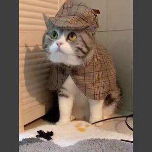 Chapeau et cape de détective pour chien Sherlock Holmes, en polyester écologique, amusant, à carreaux, pour l'Halloween, pour chat britannique à poils courts - Product Image 1