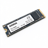 Kioxia VE10 PCIe 5.0 NVMe M.2 2280 TLC Internal SSD, Solid State Drive yang Andal