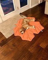 Tapis de jeu pour animaux de compagnie 2026 de luxe moderne, en peluche, imperméable, antidérapant, lavable, rafraîchissant, avec housse amovible, doux, motif feuille unie