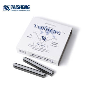 TS-D41 <span class=keywords><strong>V</strong></span> çivi 12mm UNI tipi VNail takozlar resim çerçeveleme için yumuşak ahşap resim çerçeveleri marangoz - Product Image 3