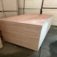 Planches d'emballage multicouches en contreplaqué peuplier et caisses/palettes en bois, planches de sous-couche sans fumigation, réductions en gros depuis la Chine