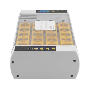 Praktische 24 Eieren Grote Capaciteit Mini Incubator Voor Kip Gevogelte Kwartel Kalkoen Eieren Thuisgebruik Automatische Ei Incubator - Product Image 5