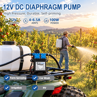 Pompe à diaphragme à double pression électrique à commande automatique 12V DC pour l'irrigation des serres, des fermes et des jardins