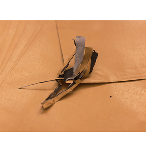 <span class=keywords><strong>Sac</strong></span> en papier gaufré enduit de cire Chang Ling, écologique, en pure pâte de bois, imperméable, avec poignée, pour la protection des arbres fruitiers (raisin, mangue) et la croissance des plantes - Product Image 6