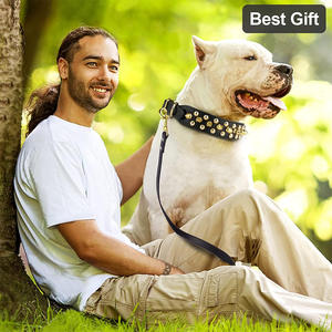 टिकाऊ जासूसी वाले चमड़े के कुत्ते और बिल्ली कॉलर pu चमड़े के लिए प्रिंट पैटर्न के साथ प्रिंट पैटर्न के साथ - Product Image 6