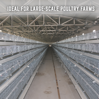 Cage d'élevage de poulettes de type A pour poulets jeunes de 0 à 16 semaines, équipement d'élevage avicole