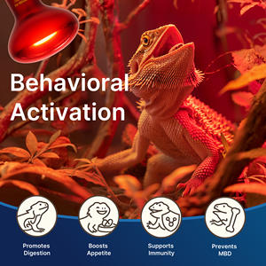 Инфракрасная лампа для обогрева домашних животных E26, энергосберегающая, Взрывозащищенная, тепловая лампа для рептилий, черепаха, ящерица - Product Image 5