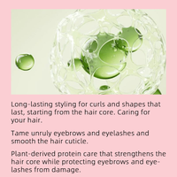 Kit de stratification des sourcils Lotion de lifting des cils à la kératine dans le tube Perming des cils Lashlifting Vente en gros Kit de lifting et de teinte des cils longue durée